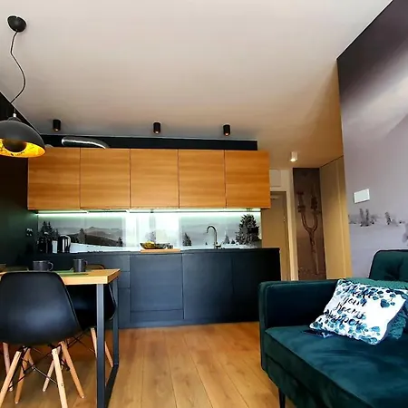 Ogrodnicza 9m38 דירה